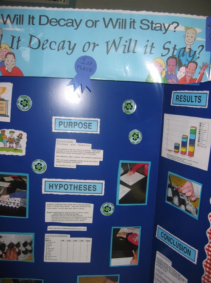 Will It Decay Or Stay Science FairScience Will It Decay Or Stay Science FairScience