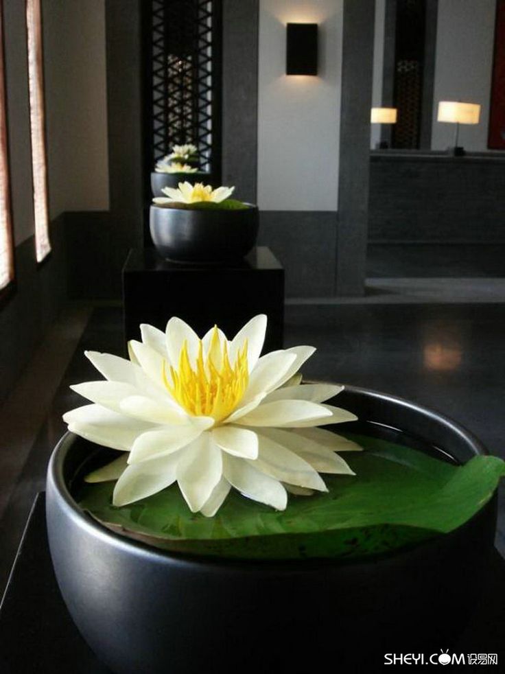 花艺大师凌宗湧和他的自然美感设易网 让设计更容易 室内设计师网 设计圈 设计案例 设计资讯 最新招聘 最新问答 花艺大师凌宗湧和他的自然美感设易网 让设计更容易 室内设计师网 设计圈 设计案例 设计资讯 最新招聘 最新问答