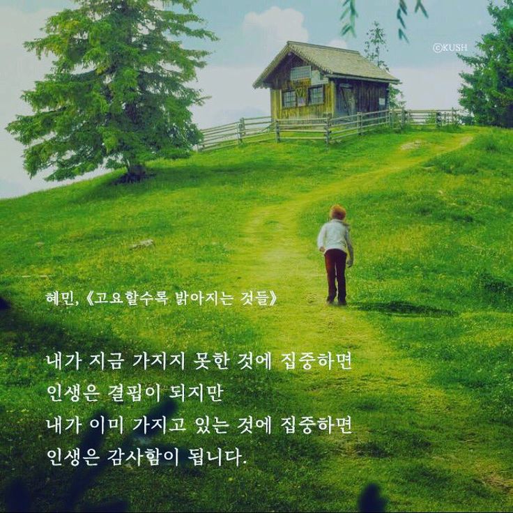 haemin sunim the things haemin sunim the things