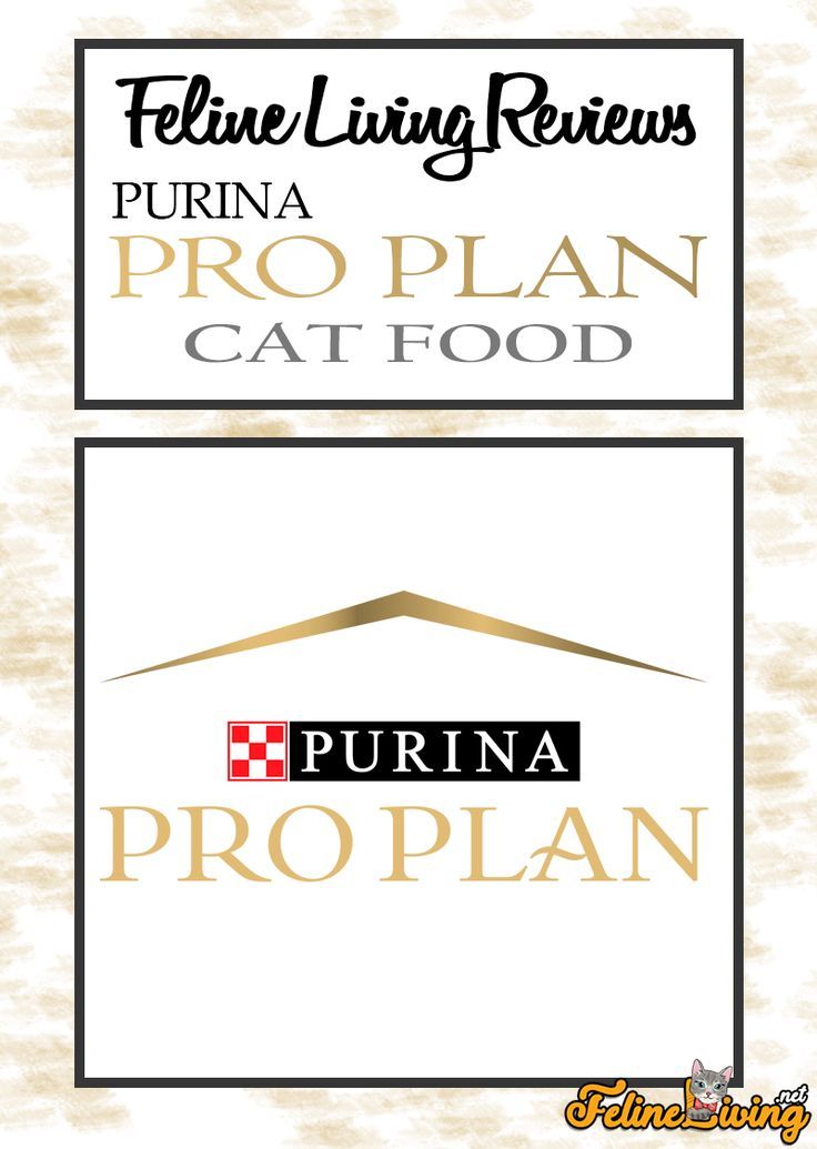Nature S Logic Feline Rabbit Meal Feast Dry Cat Food Review Oliveknows Cat Food Reviews Cat Food Dry Cat Food