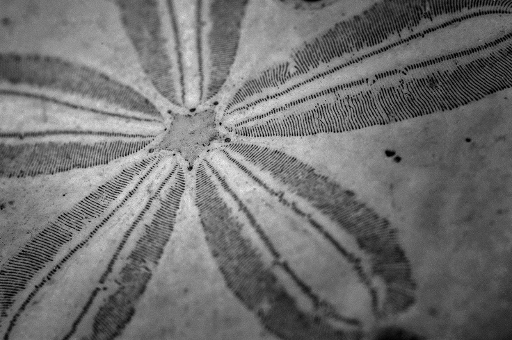 07-13-2012 "Turned into stone" Changes do not stop with our departure How Does Granite Change Into Sandstone