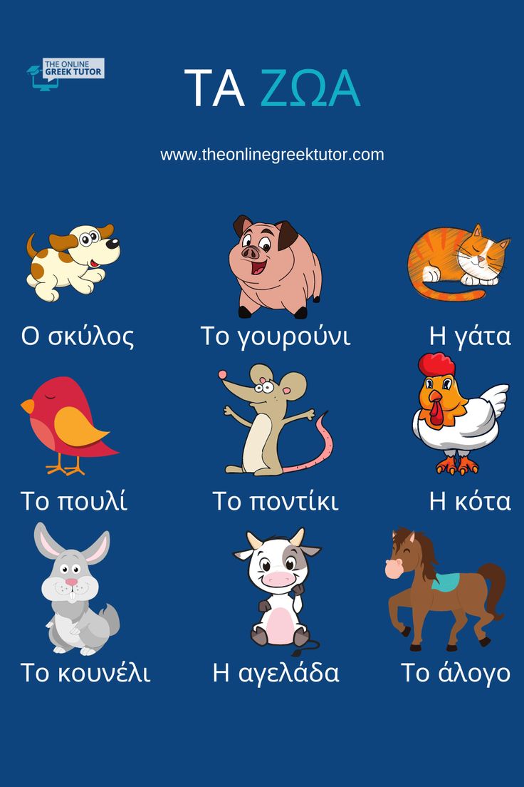 Animals in Greek in 2021 Greek language learning, Vocabulary lessons