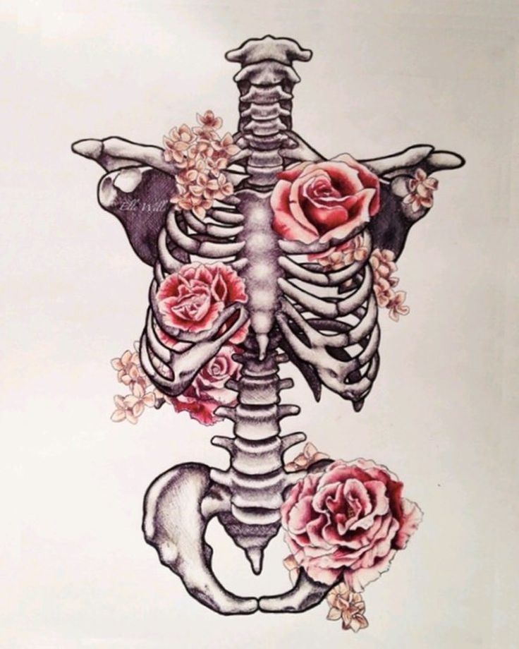 Why I chose osteopathic medicine (and what it is) >> up now on the blog! #sssyrah #osteopathic #do #osteopathy #omsii #medschool #skeleton