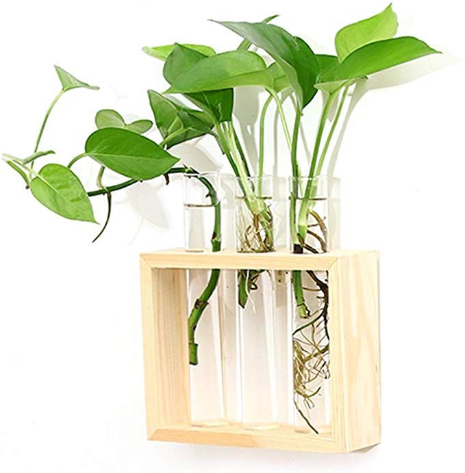 Glass Tube Vase Wooden Stand Flower Pots Hydroponic Plant Home Garden Decoration Glass Tube Vase Wooden Stand Flower Pots Hydroponic Plant Home Garden Decoration