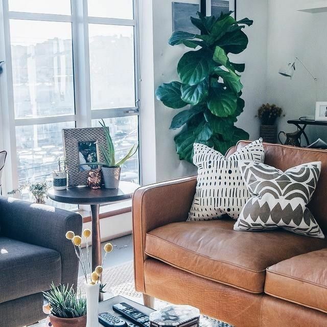 10 Amazing Tan And Teal Living Room