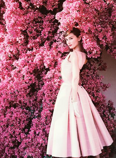 audrey hepburn background summary Breakfast at tiffany's is a 1961 american romantic comedy film directed by blake edwards and written by george axelrod, audrey hepburn, breakfast at tiffany's, . audrey hepburn background summary Breakfast at tiffany's is a 1961 american romantic comedy film directed by blake edwards and written by george axelrod, audrey hepburn, breakfast at tiffany's, .