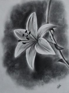 45 Beautiful Flower Drawings and Realistic Color Pencil Drawings ...