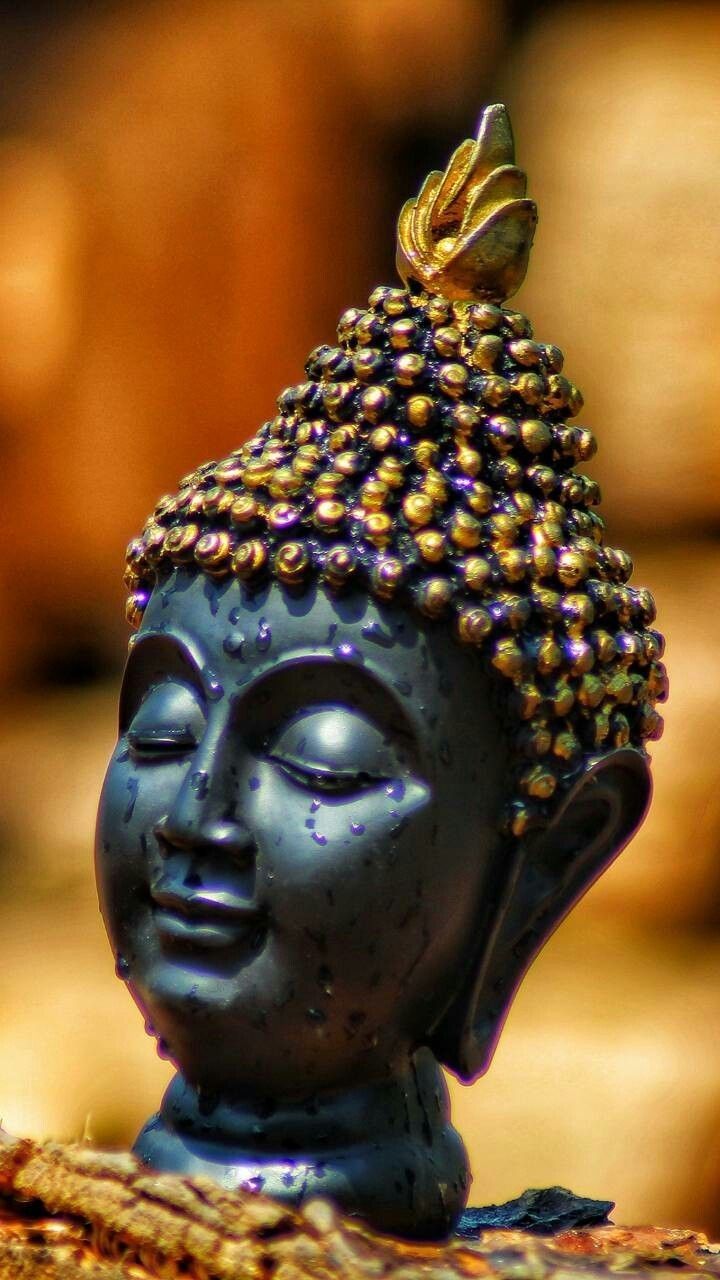 Pin By Clari Mompremier On Serenity Best Buddha Quotes Inspirational Quotes With Images Buddha