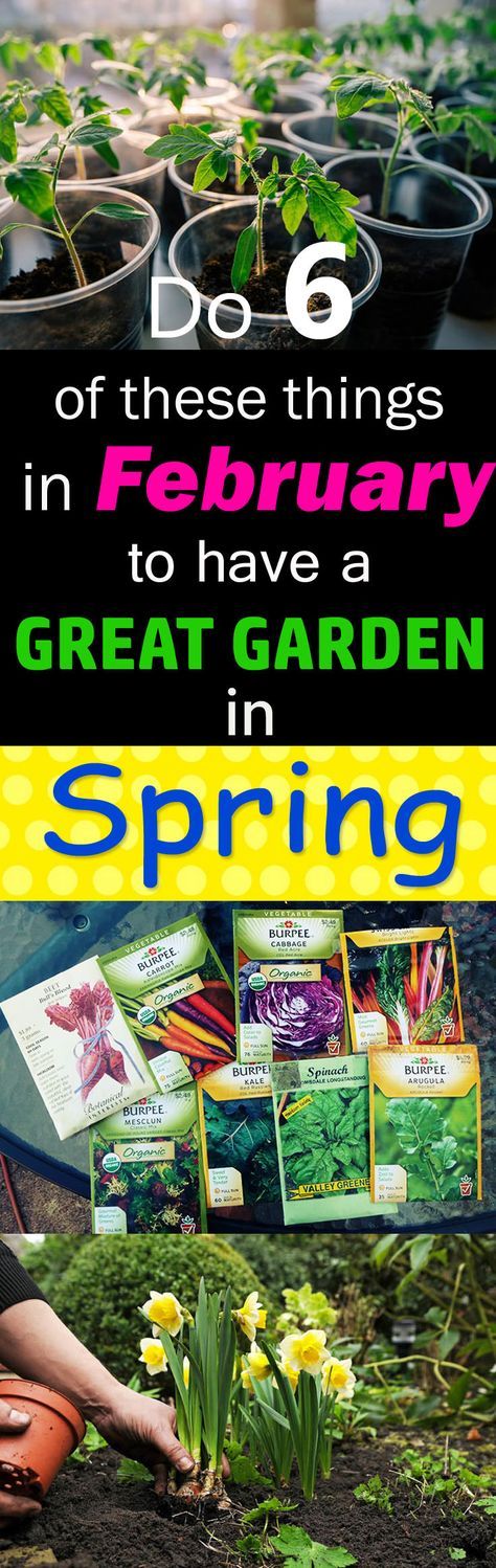 Good Garden Ideas best 10+ vegetable garden layouts ideas on pinterest | garden Good Garden Ideas best 10+ vegetable garden layouts ideas on pinterest | garden