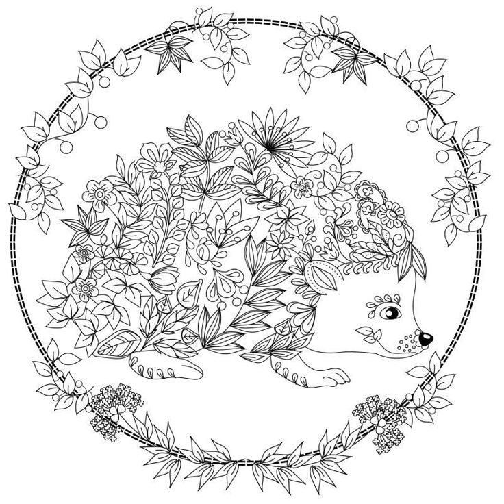 2320 best Coloring images on Pinterest Coloring books Mandalas