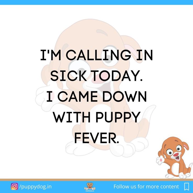 Dog Quotes Dog Lover Quotes Dog And Puppy Quotes Dog dog-quotes-dog-lover-quotes-dog-and-puppy-quotes-dog