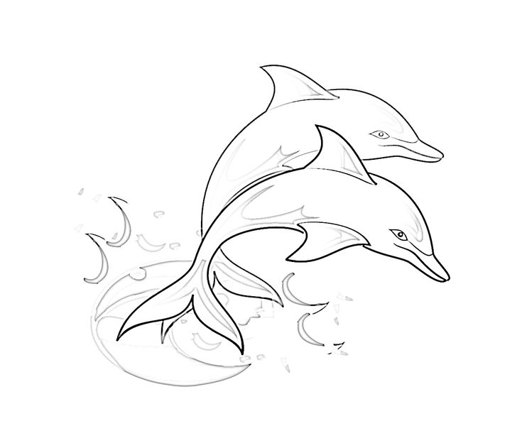 dolphin coloring page wow all about animals