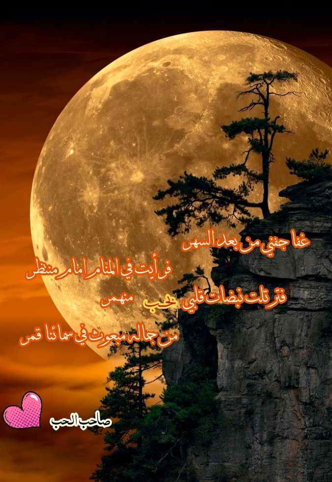 حبيب قلوب المؤمنين Movie Posters Poster Movies