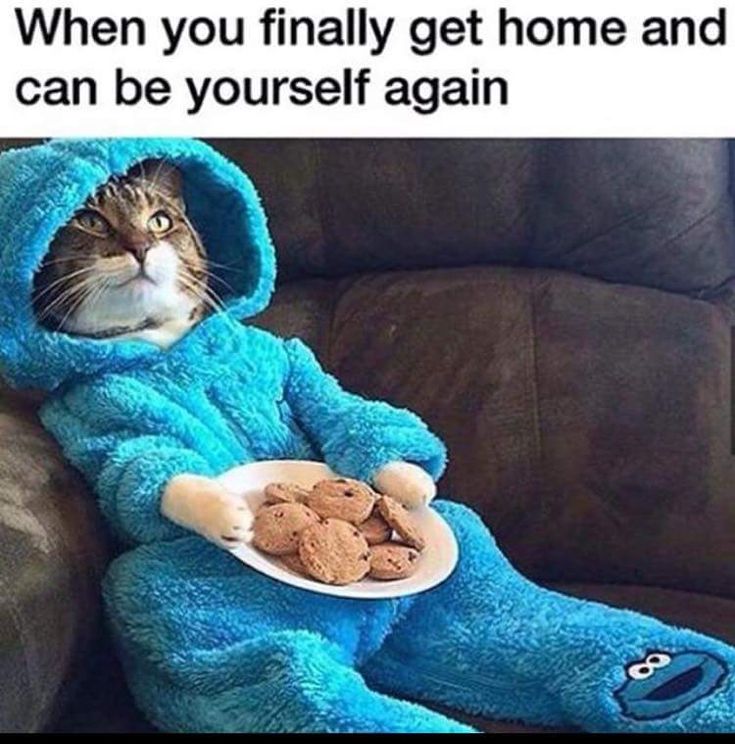 best 20 work memes ideas on pinterest funny work humor, work 288c11bae223dceae90cfebd6cde40d1 off work humor work humour best 20 work memes ideas on pinterest funny work humor, work,Get Home Meme
