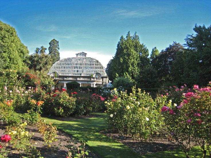 Summer Blooms Chch Botanic Gardens Summer Garden Botanical Gardens Botanical
