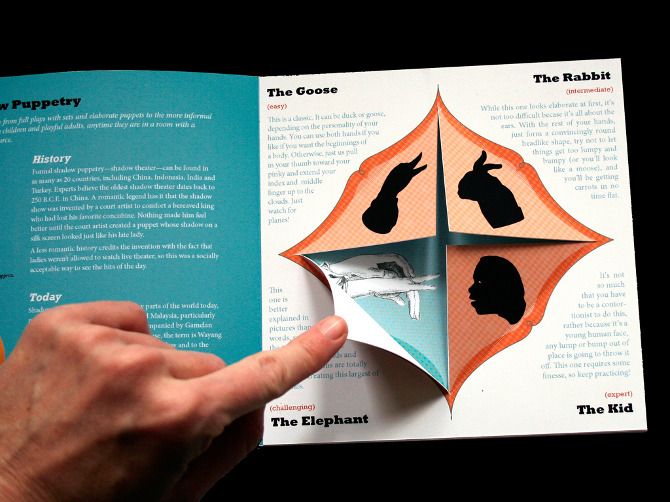 informational booklet design
