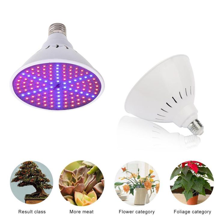 Led лампа для выращивания конопли Led лампа для выращивания конопли норма высева конопли