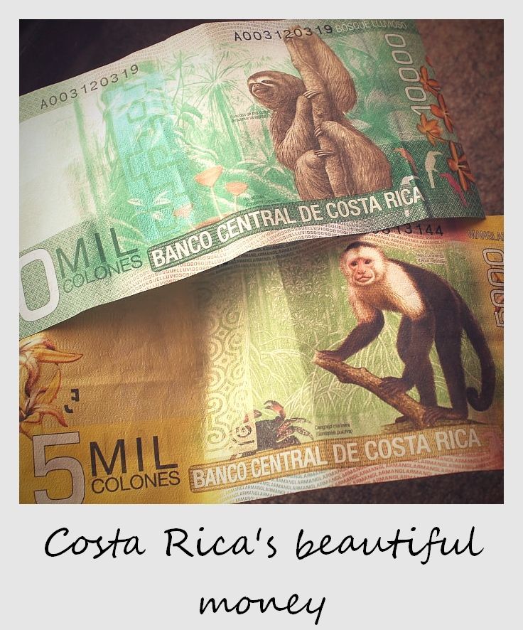 Forex brokers costa rica