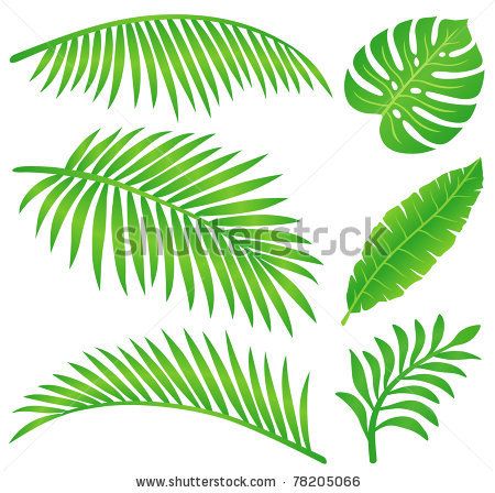 Best 25+ Leaf stencil ideas on Pinterest Leaf template, Leaf - editable leaf template Best 25+ Leaf stencil ideas on Pinterest Leaf template, Leaf - editable leaf template