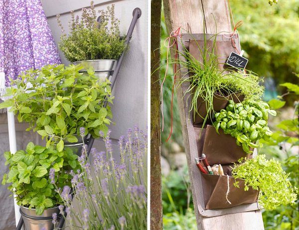 Herb Garden Ideas For A Balcony best 20+ balcony herb gardens ideas on pinterest | patio herb Herb Garden Ideas For A Balcony best 20+ balcony herb gardens ideas on pinterest | patio herb