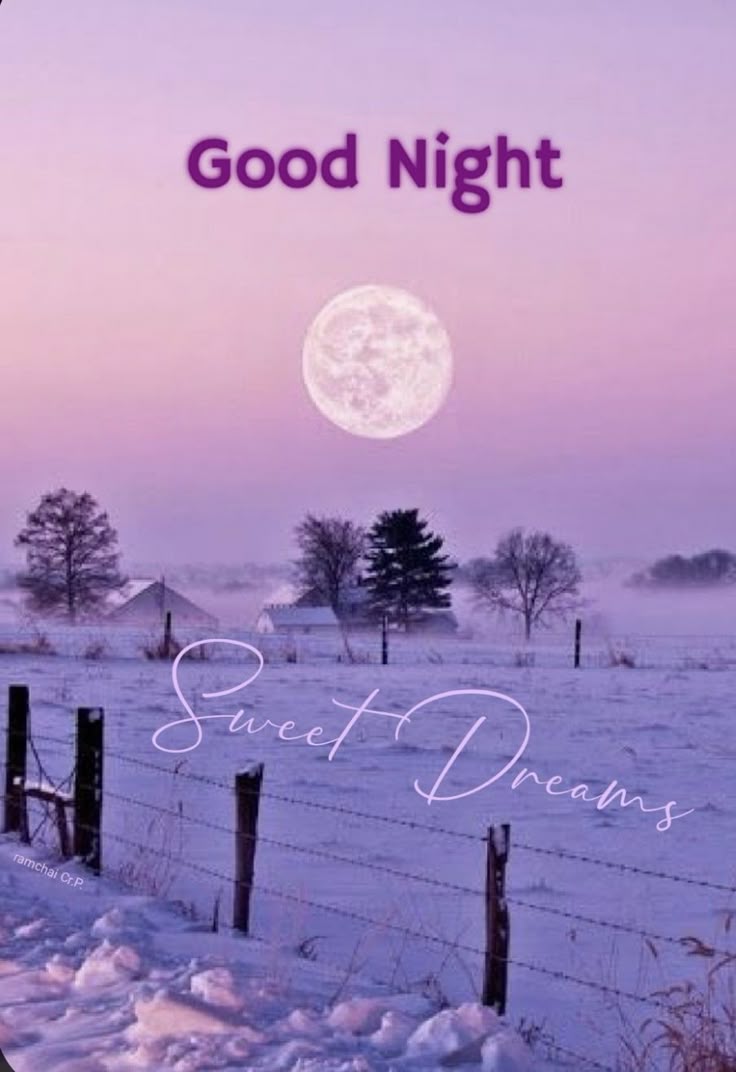 Pin By On In 2024 Good Night 298501028e21926f6ad91d41486b8fdd
