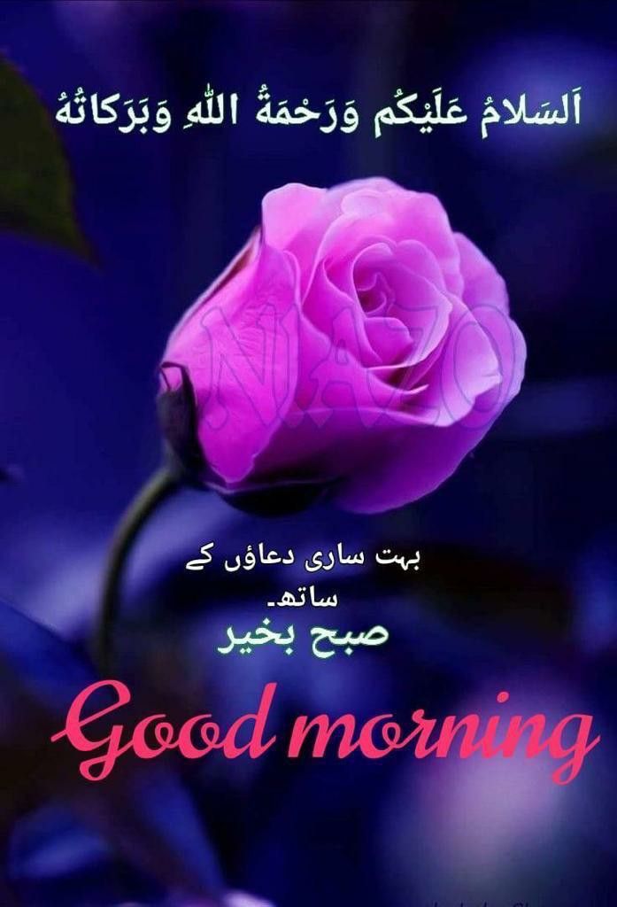 Good Morning Messages With Flowers good-morning-messages-with-flowers