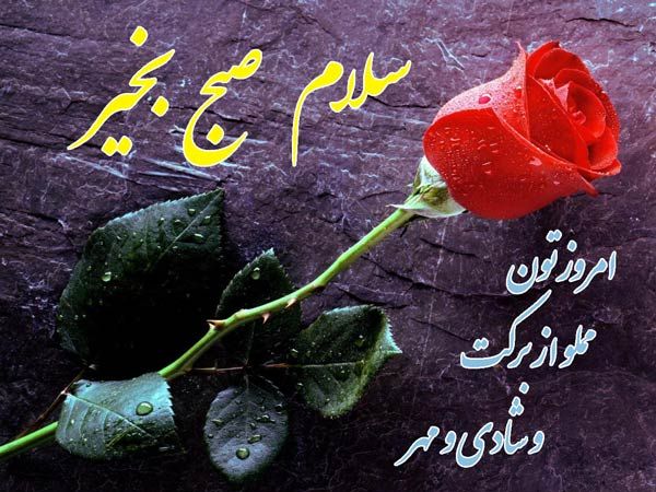 متن صبح بخیر عاشقانه و زیبا عکس نوشته سلام صبح بخیر ادبی و دوستانه مجله تصویر زندگی Good Morning Greetings Good Morning Clips Morning Greeting