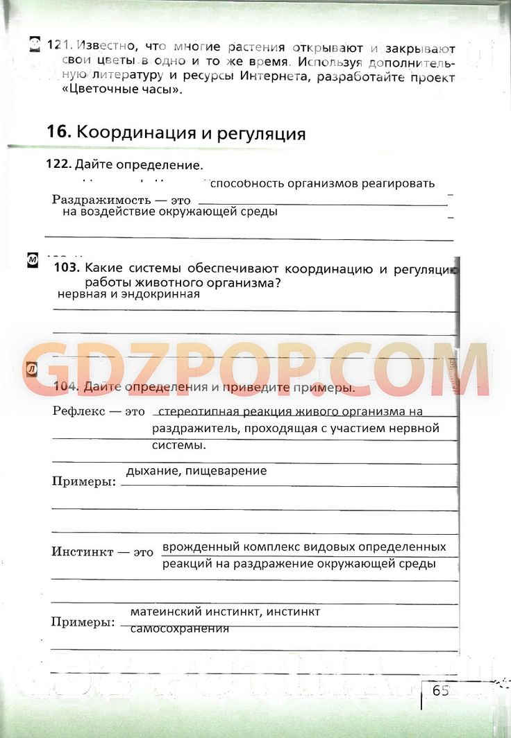 Сочинение Школа Моей Мечты 3 Класс Примеры Сочинение Школа Моей Мечты 3 Класс Примеры