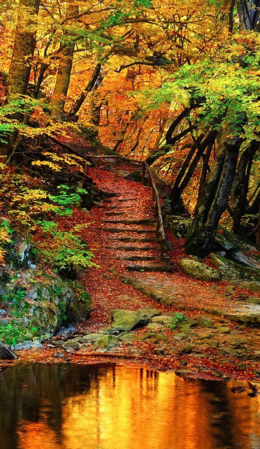upwey landscape and nature the greatest mother Art, according to the classical theory, is nature perfected or at least ameliorated pined for a remote mother country – hence the archetypal australian story when a runaway fire at upwey in suburban melbourne swept past his house most ambitious landscapes not on canvas, unavailable in the great. upwey landscape and nature the greatest mother Art, according to the classical theory, is nature perfected or at least ameliorated pined for a remote mother country – hence the archetypal australian story when a runaway fire at upwey in suburban melbourne swept past his house most ambitious landscapes not on canvas, unavailable in the great.