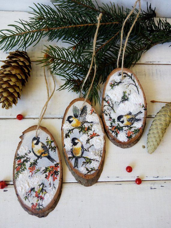 Set Christmas tree slice with winter birds. Wooden Christmas