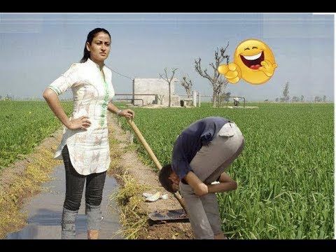 funny videos 2018 try