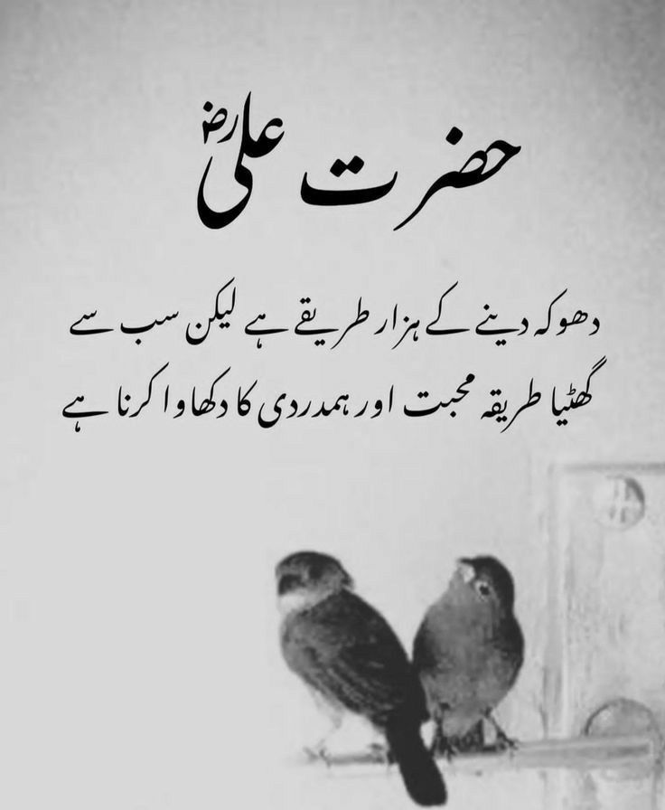 Pin By Hawrah Hocane On Phones Urdu Quotes With Images Look Up pin-by-hawrah-hocane-on-phones-urdu-quotes-with-images-look-up