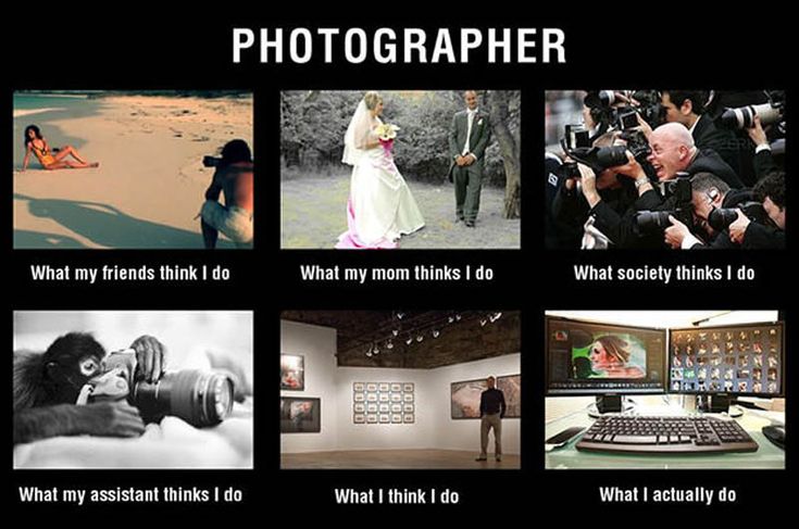 Best Photographer Memes Images On Pinterest Photographer Meme