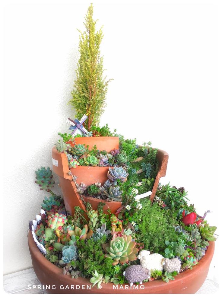 Broken Pot Succulent 羊牧場風 割れ鉢リメイクです マリモさんが投稿した多肉植物 わが家の多肉スペース 多肉 植物寄せ植え 植中毒 今日の一枚 タニラー 割れ鉢 割れ鉢の寄せ植え リメイク鉢 バルコニー ベランダの画像です 18月4月23日 多肉植物寄せ植え 多肉 Broken Pot Succulent 羊牧場風 割れ鉢リメイクです マリモさんが投稿した多肉植物 わが家の多肉スペース 多肉 植物寄せ植え 植中毒 今日の一枚 タニラー 割れ鉢 割れ鉢の寄せ植え リメイク鉢 バルコニー ベランダの画像です 18月4月23日 多肉植物寄せ植え 多肉