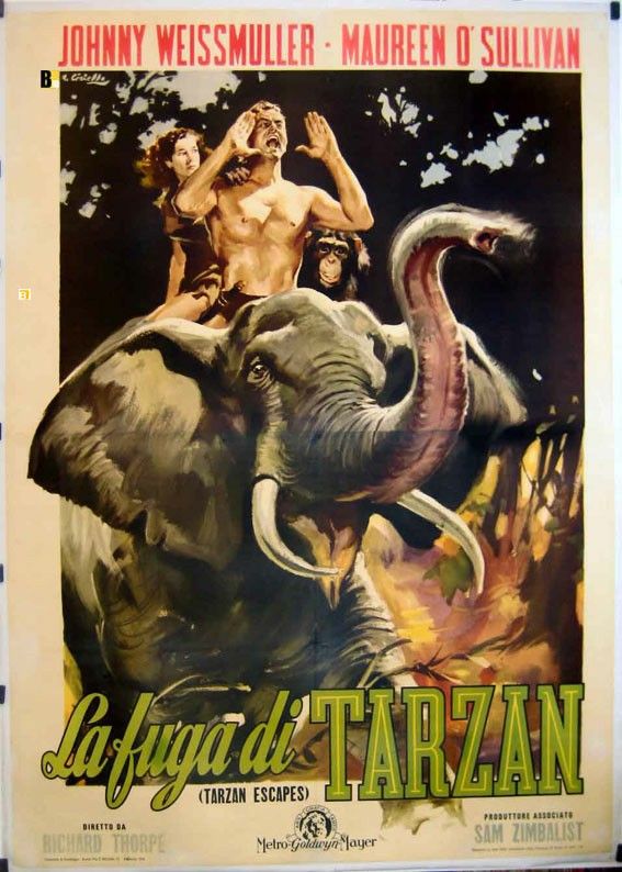 Pin By Raimundo Vieira On Jungle Kings And Queens Iii Tarzan Tarzan Movie Movie Posters