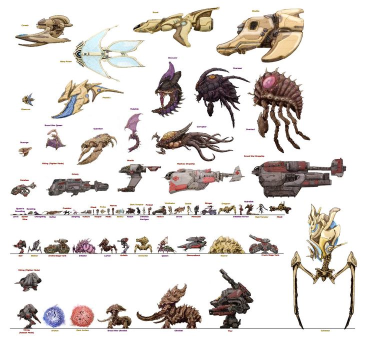 ship size starcraft starcraft 2 nerd zerg size chart