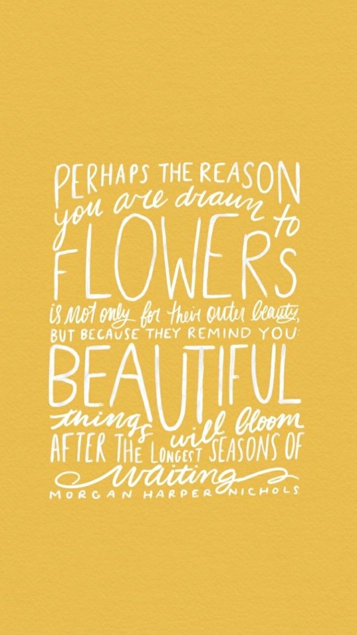 Yes Be a flower bloom from within and let the glow of Yes Be a flower bloom from within and let the glow of