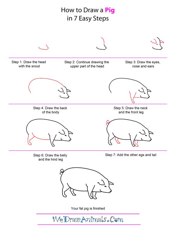 how to draw a pig step by step for kids how to draw a pig step by step for kids