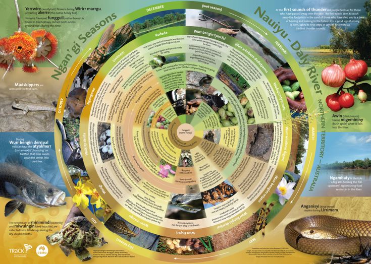australia plays key role in global biodiversity policy indigenous knowledge global wellness