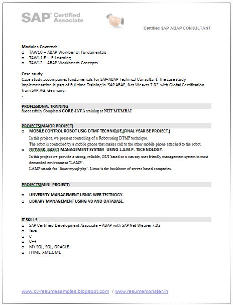 Professionals Learning Zone Steps To Run SAP Payroll - abap consultant sample resume Professionals Learning Zone Steps To Run SAP Payroll - abap consultant sample resume