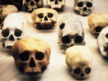 Anthropology term papers