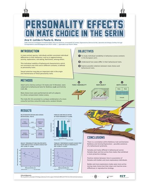 like the blocks to define sections design scientific research science research posters