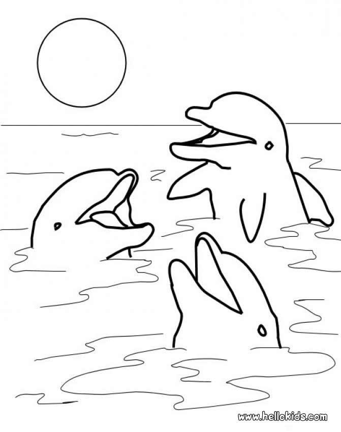 have fun coloring this three playing dolphins coloring page nice coloring sheet of sea world