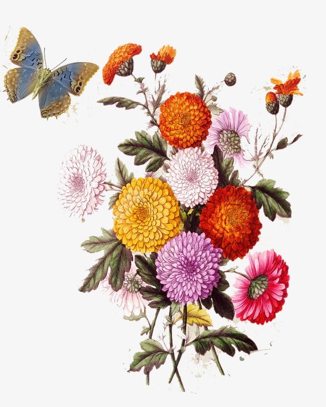Le Style Est Eternel Flower Aesthetic Pressed Flowers Flowers