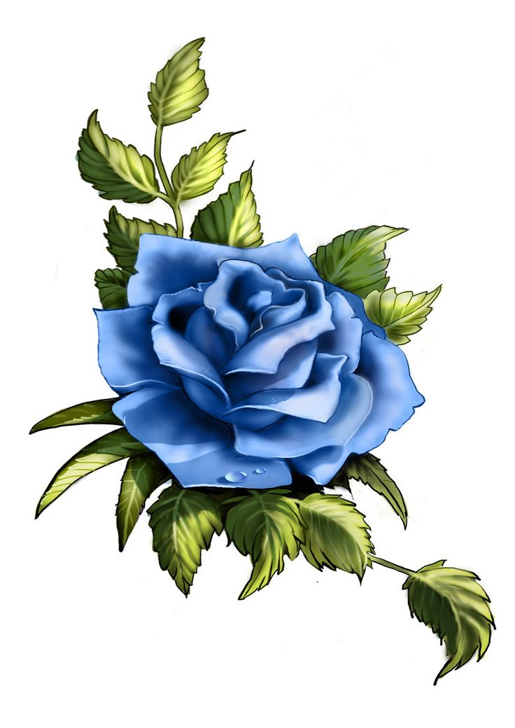 Blue Rose Tattoo Picture " Varioustattoos.com Blue rose tattoos, Rose tatto...