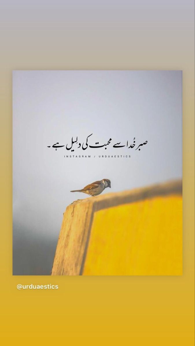 Pin On Urdu Quotes With Images Quran Quotes Inspirational pin-on-urdu-quotes-with-images-quran-quotes-inspirational
