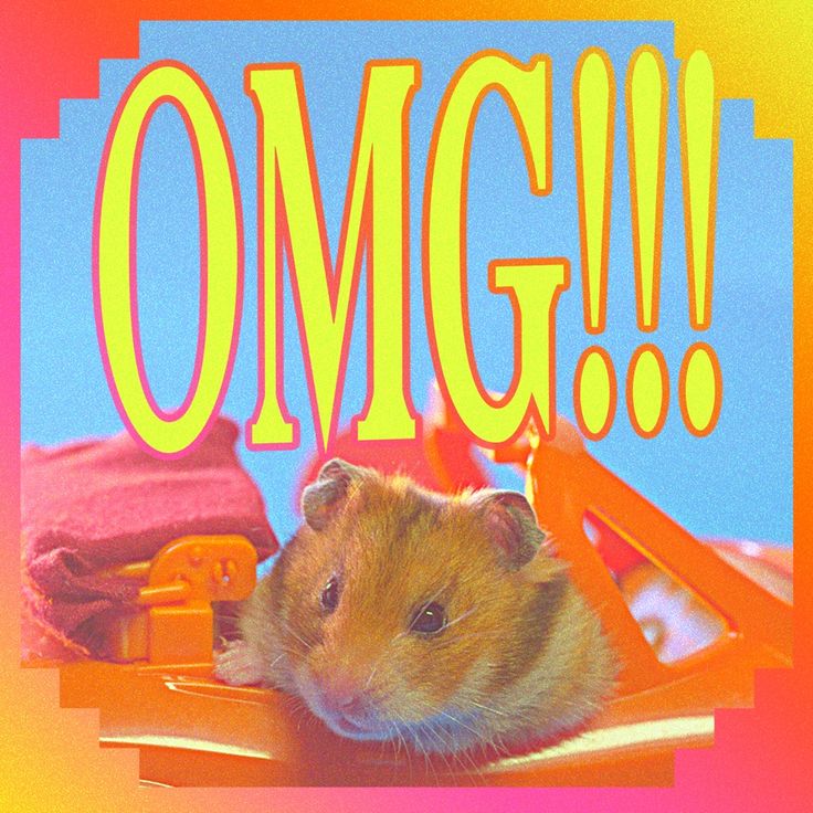 Omg Affiliate Omg Affiliate