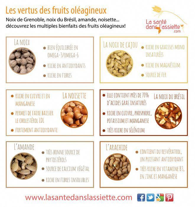 Rebalance Gut Plants - Prebiotics, Probiotics, Digestion enzymes, Organic Salt...