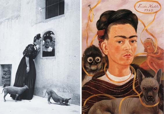 Frida kahlo xoloitzcuintle hotsell