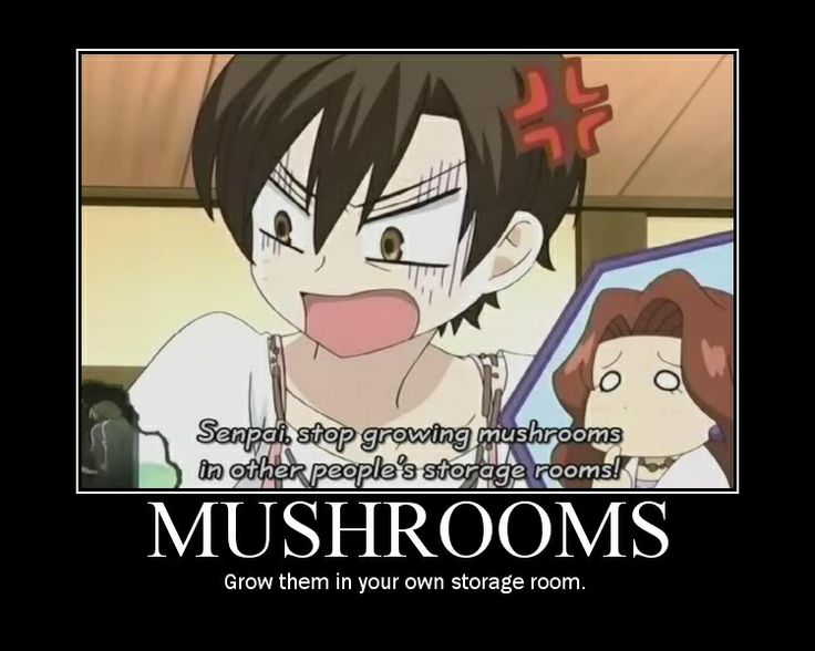 Best Funny Moments From Anime Tv Shows Images On Pinterest Funny Moments High School Host Club And High School Best Funny Moments From Anime Tv Shows Images On Pinterest Funny Moments High School Host Club And High School